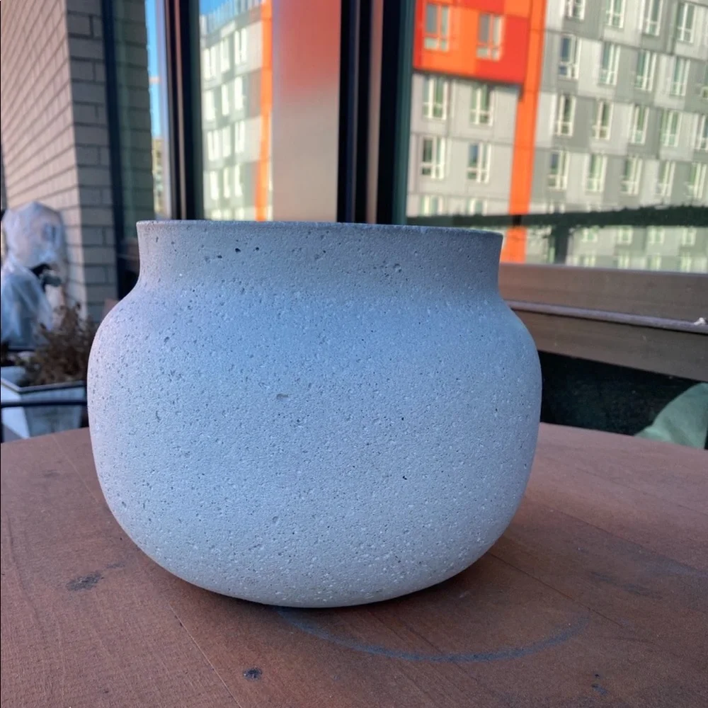 West Elm Ficonstone Planter